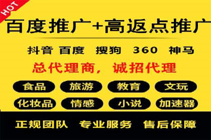成功案例分享：SEM推广策略的制定与执行